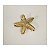 Piranha de Metal de Estrela do Mar - 6cm Prata e Dourado - Pct c/ 12  -Y575-39 - Imagem 1