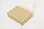 Caixinha de Papel Brilhante Dourado P/ Presente com Alça 12x16cm - Pct c/ 6 - Imagem 1