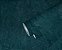 Papel de Parede TRENDWALL 380445 - Imagem 3