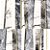 Papel de Parede ZENITH 850633 - Imagem 1