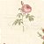 Papel de Parede ROSE GARDEN 2 CG28861 - Imagem 1