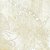 Papel de Parede CLASSIC SILKS 2 CS27332 - Imagem 1