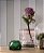 Papel de Parede IVY 681020 - Imagem 3