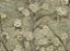 Papel de Parede VAN GOGH 3 5028485 - Imagem 1