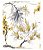 Papel de Parede CAPRI 190512405 - Imagem 1