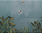 Painel de Parede BIO-HABITAT BH101015 - Imagem 1