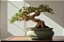 Papel de Parede FAMOUS GARDEN 390398 - Imagem 2