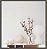 Papel de Parede INFINITY IF-776012 - Imagem 2