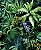 Papel de Parede INFINITY IF-001152 - Imagem 1