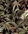Papel de Parede FLORA - HOME FINISH 84667 - Imagem 1