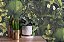 Papel de Parede TRENDWALL 2 396981 - Imagem 2