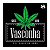 Adesivo Since 1898 - Imagem 1