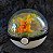 Paraíso com 2 Pokémons - Imagem 2