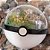 Paraíso com 3 Pokémons - Imagem 4