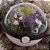 Paraíso com 3 Pokémons - Imagem 1