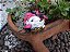 Poro com cosplay - Imagem 4