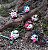 Poro com cosplay - Imagem 2