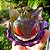 Gengar no portal - Imagem 5