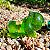 Bulbasauro Vaso de planta - Imagem 6