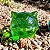 Bulbasauro Vaso de planta - Imagem 5