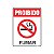 Placa Proibido Fumar 15x20 - Imagem 1