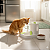 Comedouro e Bebedouro 2 em 1- Praticidade para Cães e Gatos - Imagem 6