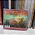 CD: The Flaming Lips: Yoshimi battles the pink robots - Usado - Imagem 2