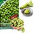 Salgadinho Kasugai Ervilha Wasabi Raiz Forte 67g – Japão - Imagem 2