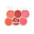 Paleta de blushes up - My life - Imagem 5