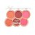Paleta de blushes up - My life - Imagem 4