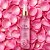 Body splash rosa delicada - Belle Angel - Imagem 3