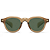 Óculos de Sol - Noruega - Brown and Green - Imagem 1