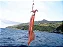 Isca Artificial Zangarilho Para Pesca De Lula 7 Cm Com Chumbo Caixa Com 100 Unidades - Imagem 3
