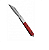 Canivete Xingu Reforçado Aço Inox 16cm XV3580 Com Cabo de Madeira Lamina lisa - Imagem 5