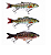 Isca Artificial Peixe Articulada Skull Fish 18Gr 13Cm Cores Sortidas em Plástico ABS - Imagem 5
