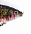 Isca Artificial Peixe Articulada Skull Fish 18Gr 13Cm Cores Sortidas em Plástico ABS - Imagem 2
