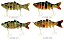 Isca Artificial Sahara Articulado HB212 10cm 22Gr Sortido Para Pesca Lambari Tucunaré Dourado Traíra. - Imagem 1