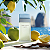 Light Blue Dolce & Gabbana Eau de Toilette - Perfume Feminino - Imagem 4