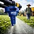Bico De Pulverização Agrícola MUG Fastcap MJ1082CAP Magnojet - Imagem 2