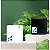 IDEAL  HOME CLASSIC 70 M2 - Imagem 1