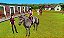 Horses - Nintendo 3DS - Imagem 4