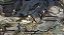 Disco Elysium The Final Cut - Nintendo Switch - Semi-Novo - Imagem 6