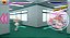 Gal Gun Double Peace - Nintendo Switch - Imagem 6
