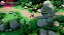 Asterix & Obelix XXXL the Ram From Hibernia Collector's Edition - Nintendo Switch - Imagem 5