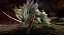 Monster Hunter Generations Ultimate - Nintendo Switch - Imagem 5