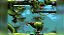 Flashback - Nintendo Switch - Semi-Novo - Imagem 6
