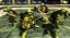 Teenage Mutant Ninja Turtles: Mutants in Manhattan- PS4 - Semi-Novo - Imagem 7