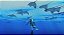 Endless Ocean Luminous - Nintendo Switch - Imagem 6