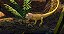 House Flipper: Pets Edition - PS4 - Imagem 4