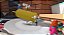 Human Fall Flat Dream Collection - Nintendo Switch - Imagem 2